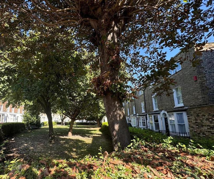 2 Bed Georgian Cottage, Ramsgate Bagian luar foto